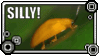 Sillybug